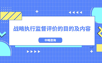 戰(zhàn)略執(zhí)行監(jiān)督評價的目的及內(nèi)容