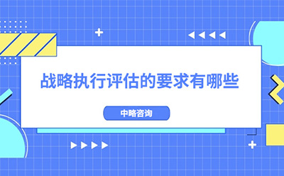 戰(zhàn)略執(zhí)行評估的要求有哪些