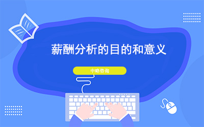 薪酬分析的目的和意義