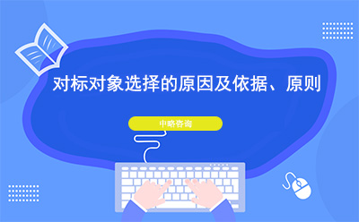 對標對象選擇的原因及依據(jù)、原則
