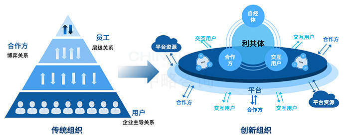 組織變革與創(chuàng)新模式