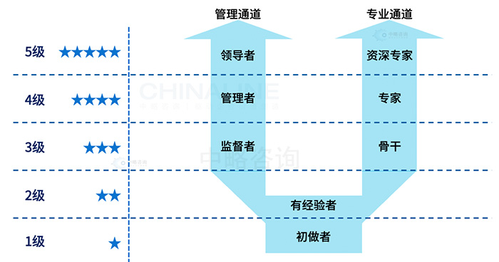 職業(yè)發(fā)展通道理論