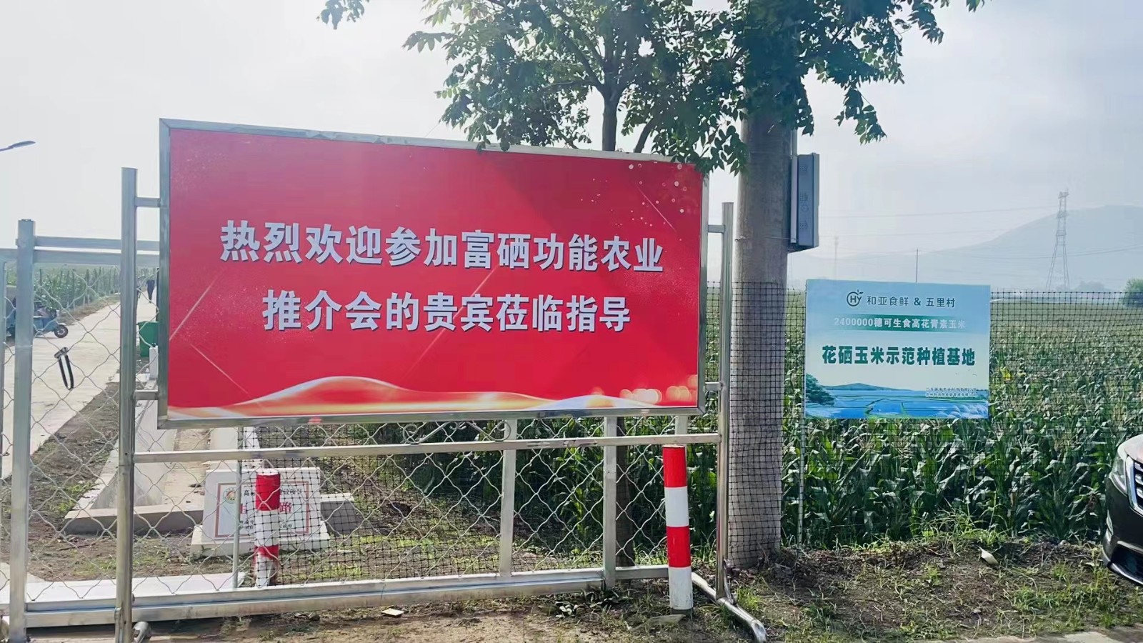 2023.7.17富硒紫糯玉米進駐江浙滬多家大潤發超市(1).jpg 2023.7.17富硒紫糯玉米進駐江浙滬多家大潤發超市(1).jpg